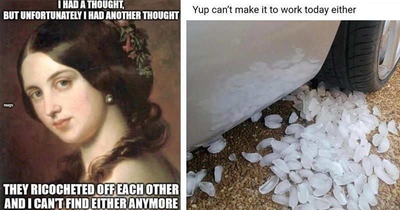 34 Memes for Mellowing Out