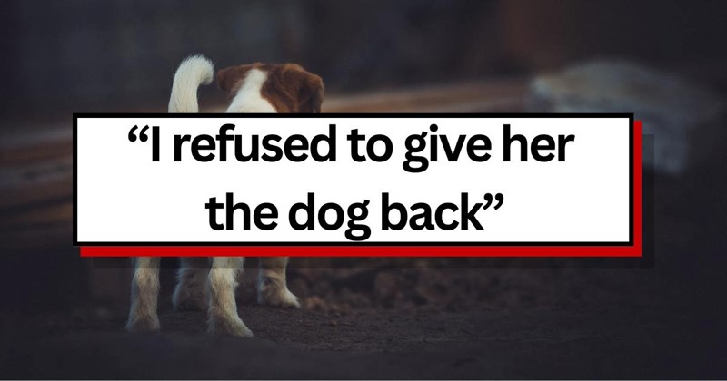 ‘You took my dog’: Two years after taking a stray dog in, dog owner faces a woman who claims to be the original owner