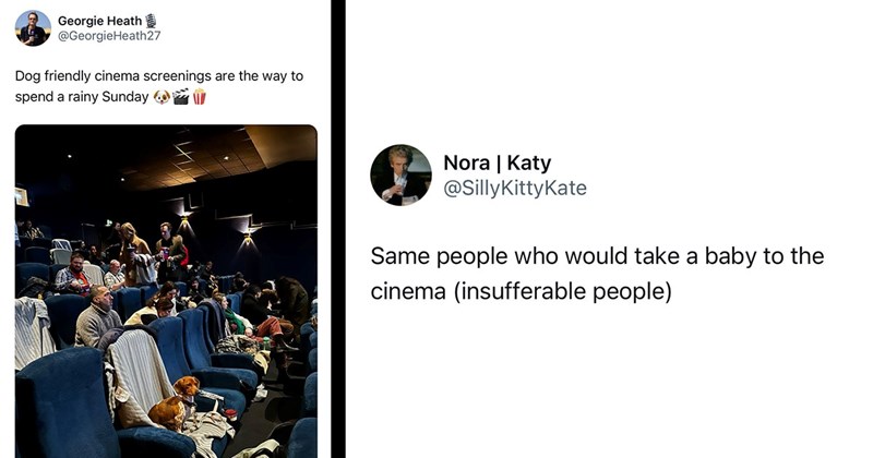 ‘I know it smells crazy in there’: Movie theater allows dogs to attend screenings, people react weirdly