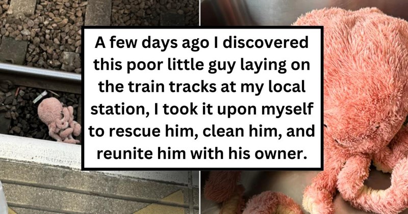 ‘GOOD HUMAN ALERT’: Kindhearted commuter discovers a long-lost plushie on the train tracks; rescues, refurbishes, and reunites the toy with the child who lost it