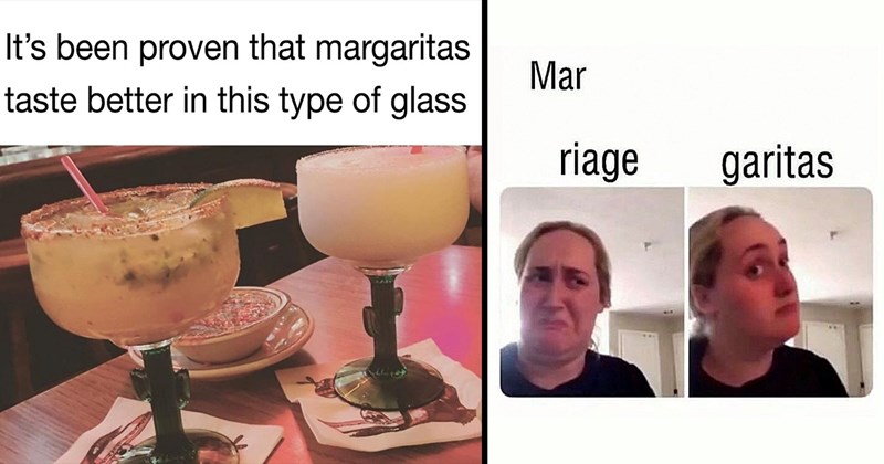 25 Lemon Lime Memes with a Tajín Salt Rim to Celebrate Margarita Day