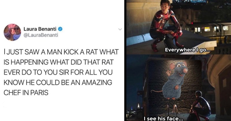 25 Ratatouille Memes and Tweets That are Bone Apple Tea