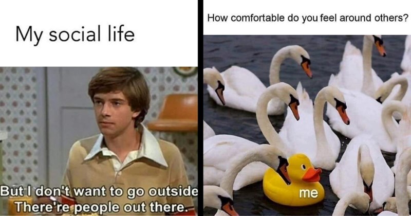 36 Memes for Lone Rangers Walking the Road Less Traveled