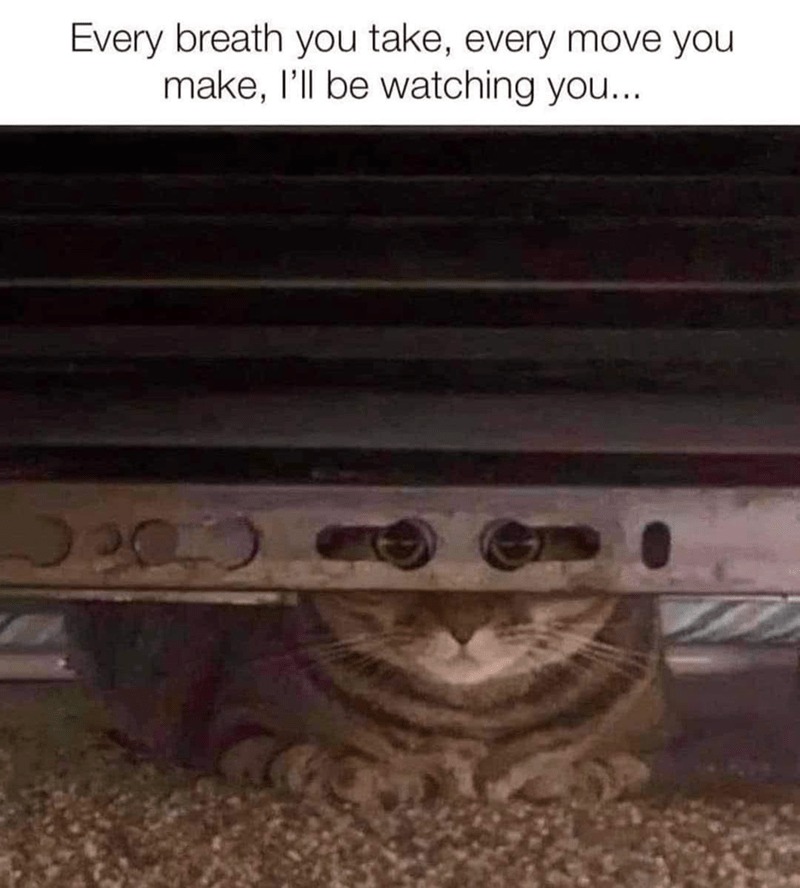 Watching you – meme