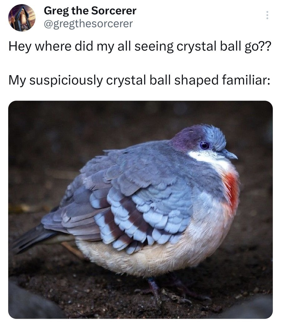 Suspicious birb – meme