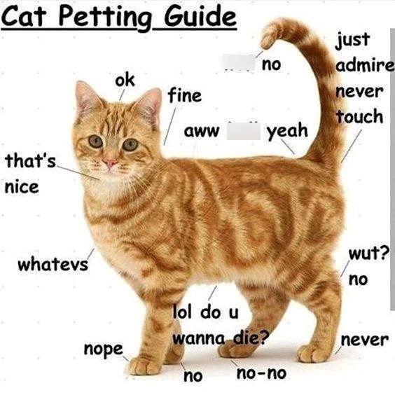 Guide – meme