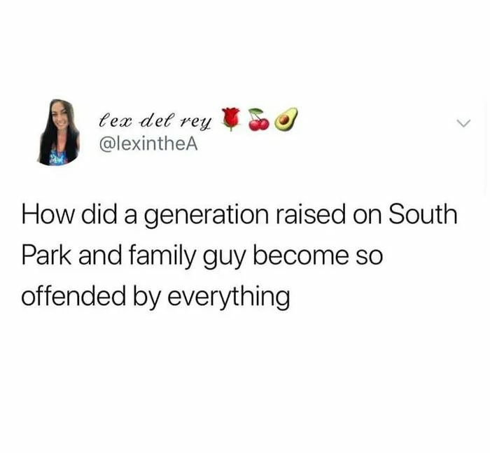 That’s why you’re called snowflakes – meme