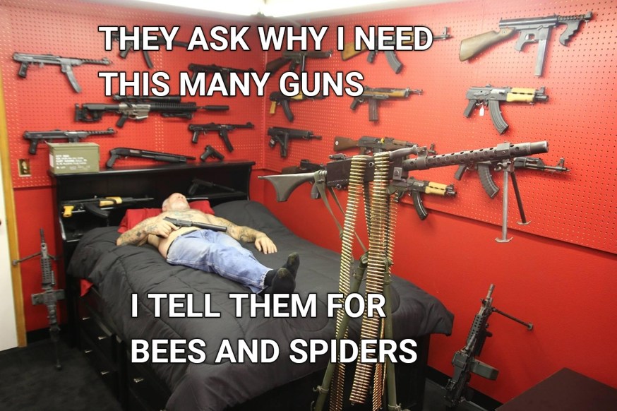 Bees and spiders – meme