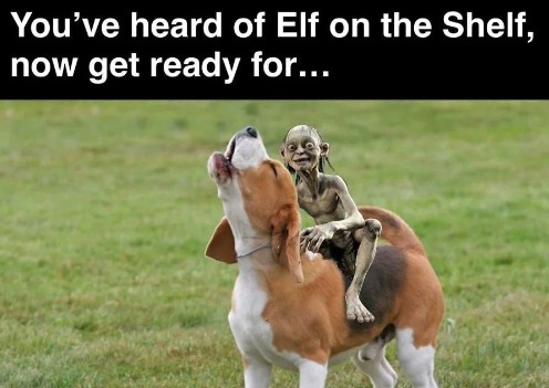 Smeagol on a beagle XD – meme