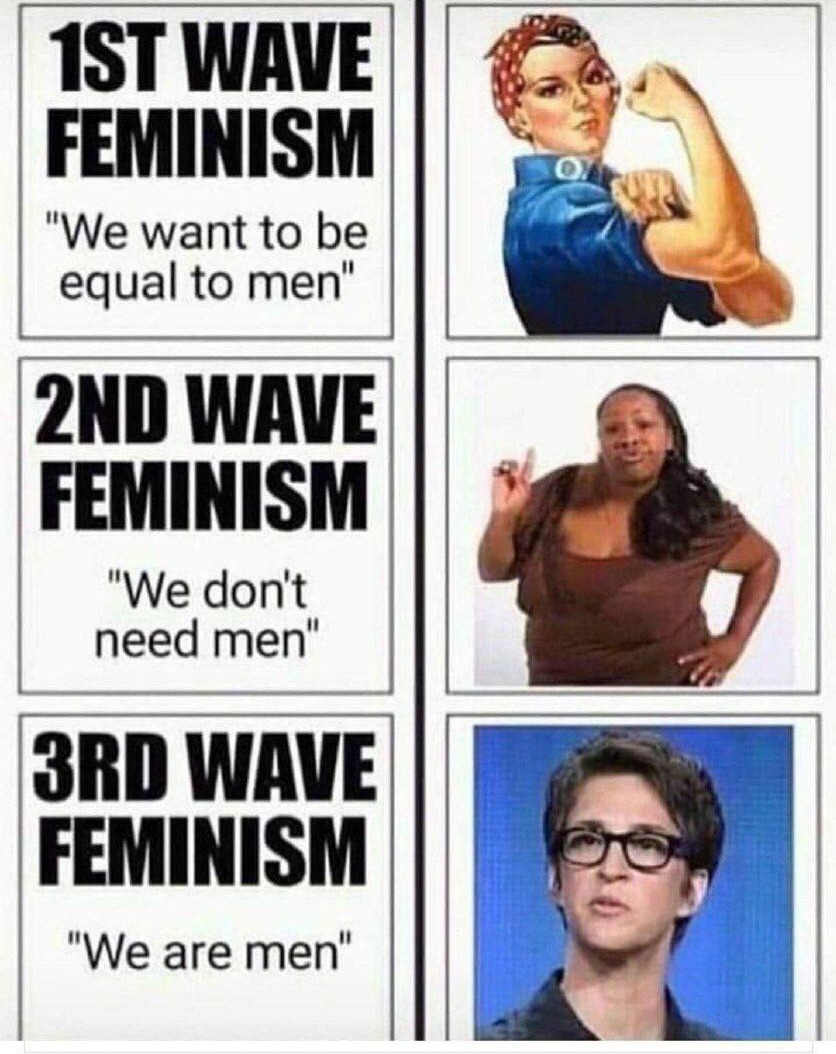 Feminists – meme