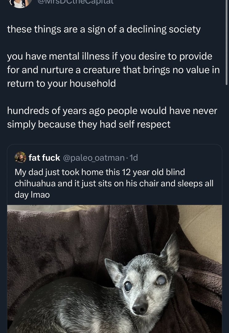 EVERYONE MAKE FUN OF THE LADY WHO SAID THIS (shes black you guys have plenty of ammo) – meme