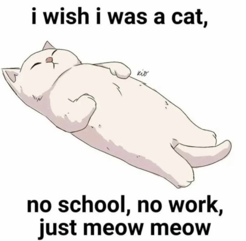 Nature’s purrfect killing machine – meme