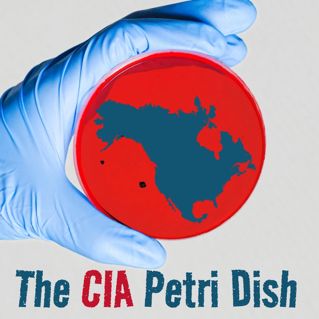 CIA is experimenting on you – meme