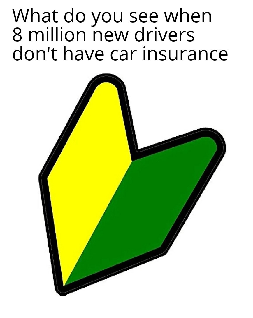 A lot of drivers drive like they need this – meme