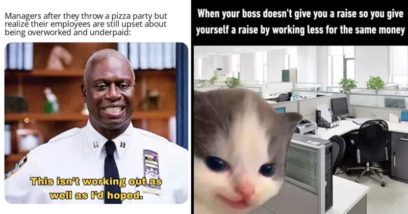 20+ of the Best Boss Memes For Lunchbreak Amusement