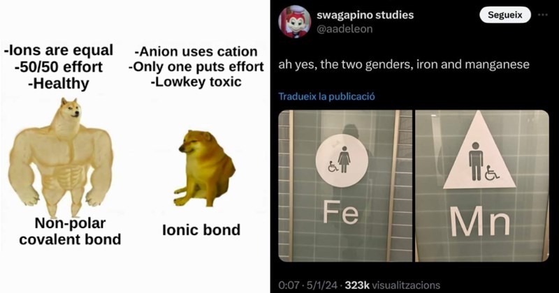 20+ Funniest Chemistry Memes That Span the Periodic Table