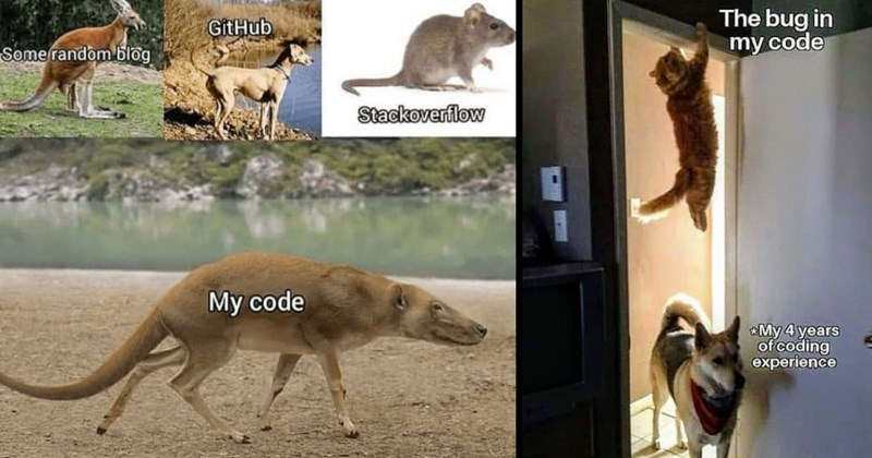 Programming Memes for Coding Geeks (February 18, 2024)