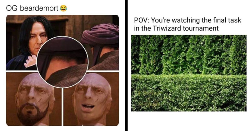 30+ of the Best Harry Potter Memes of the Week (February 14, 2024)