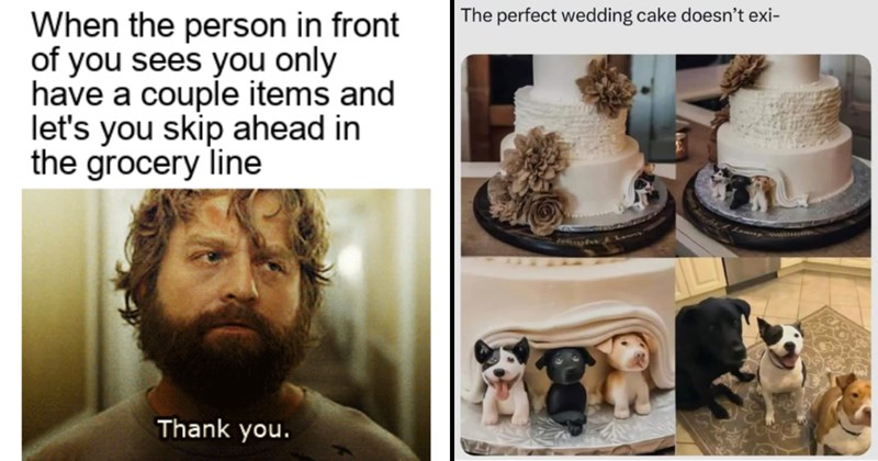 The Best Heartwarmingly Wholesome Memes and Posts of the Week (February 22, 2024)