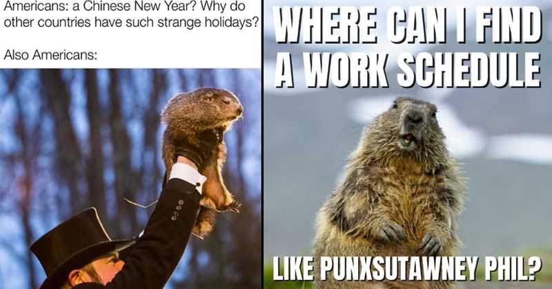 18 Groundhog Day Memes to Make Punxsutawney Phil Proud