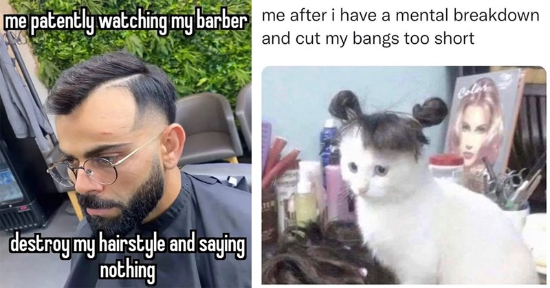 25+ Haircut Memes for Taking Just a Little off the Top