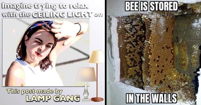 32 Memes That Had to Do It to ‘Em