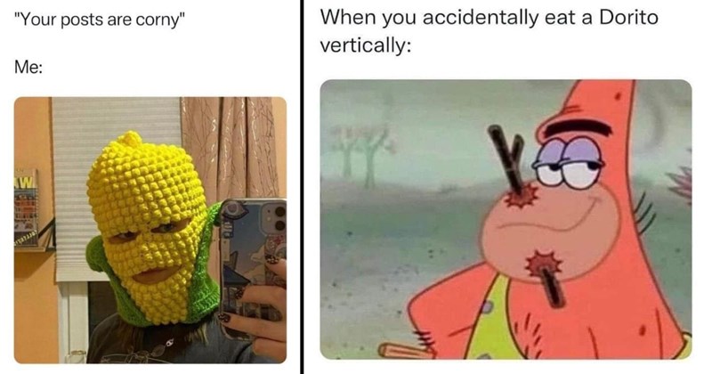 31 Memes That Take the Plunge