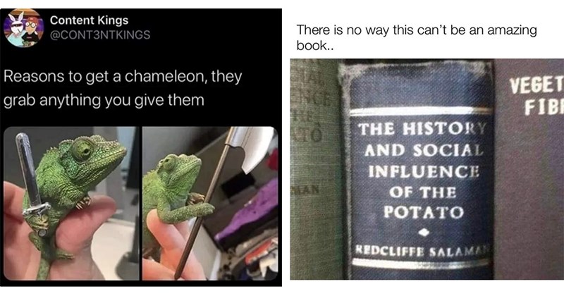 35 Memes That Defy Expectations