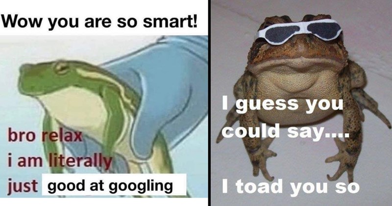 22 Frog Memes That Have Amphibian Flair