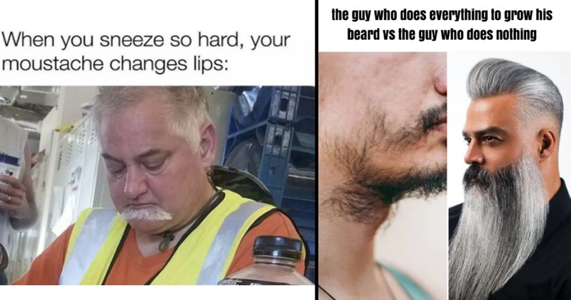 20 Facial Hair Memes for Beard Growers & Moustache Twirlers