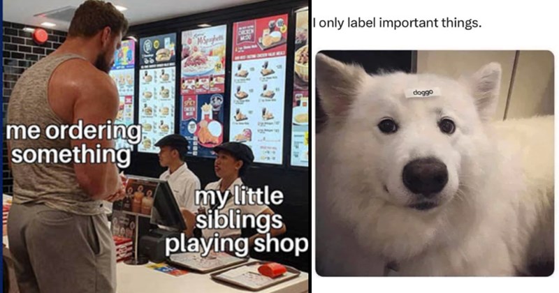 The Best Heartwarmingly Wholesome Memes and Posts of the Week (February 15, 2024)