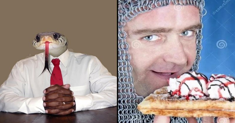 20+ Wacky Stock Photos That Are a Form of Modern Art