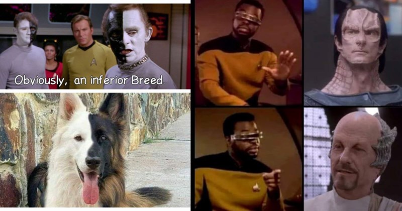 30+ of the Funniest Star Trek Memes of the Week (February 6, 2024)