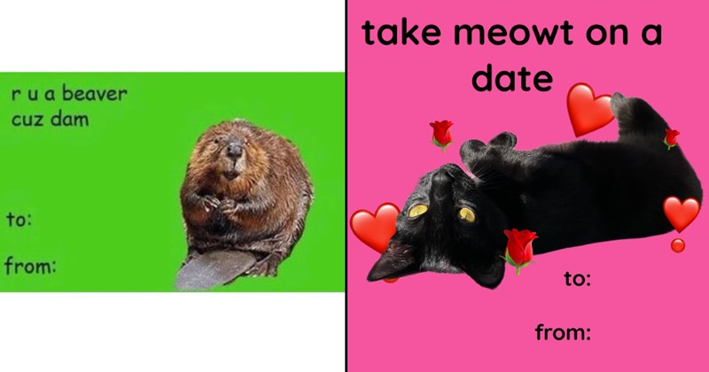 25+ Romantic Valentine’s Card Memes That Spread the Love