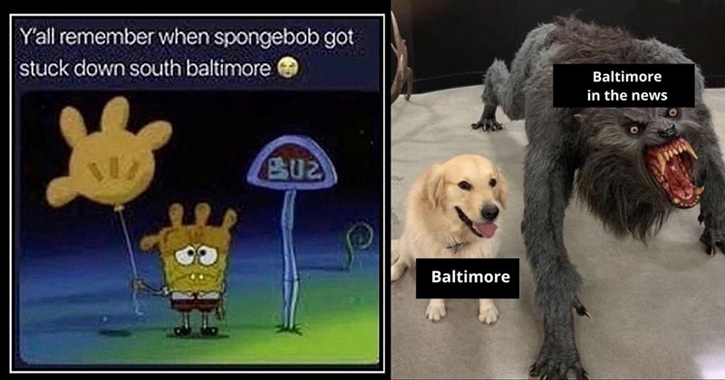 20+ Baltimore Memes for Old Bay Connoisseurs and Expert Pothole Navigators