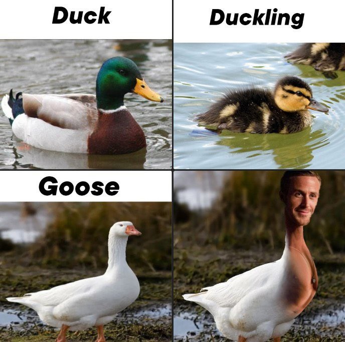 Ryan Gosling – meme