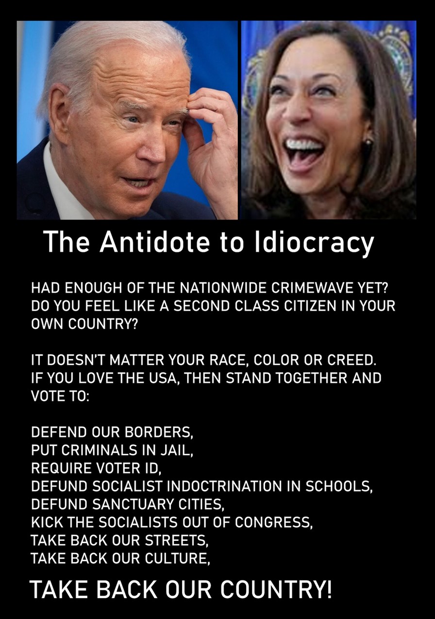 The Antidote to Idiocracy – meme