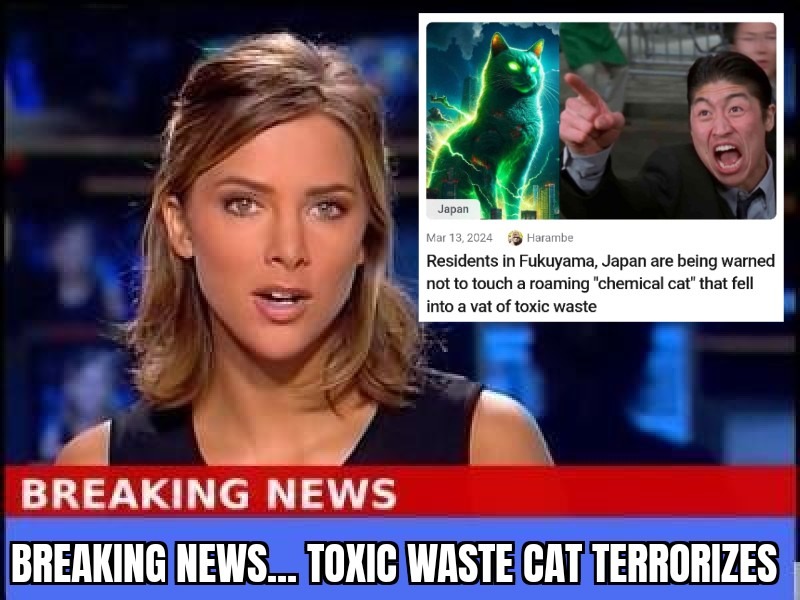 Who had Toxic Waste cats for March?? – meme