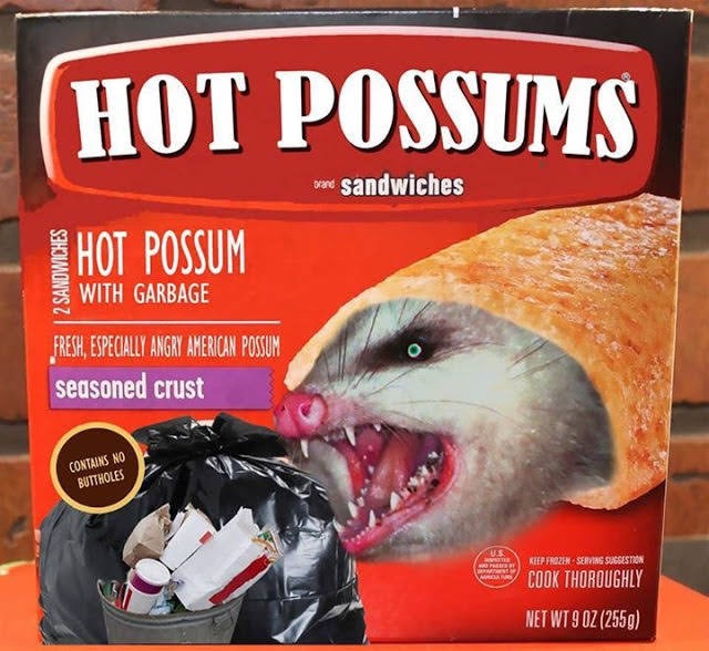 Opposums – meme