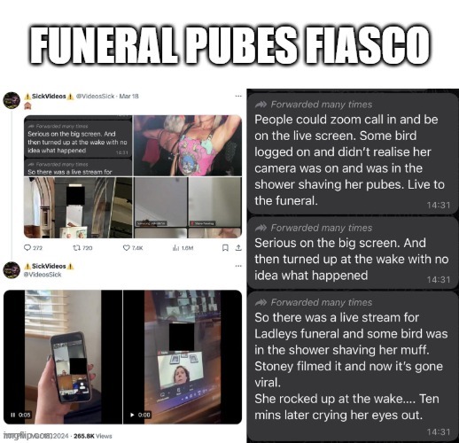 Woman caught saving her pubic hair during a live stream of a funeral getting shown the footage at the wake – meme