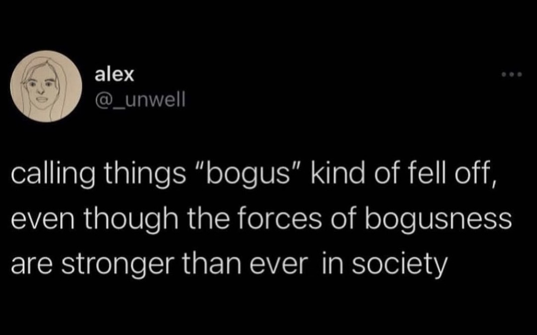 "Bogosity". The opposite of veracity is "bogosity". – meme