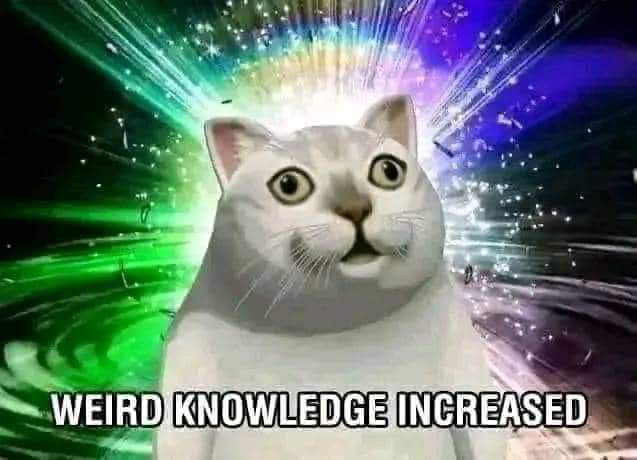 Share your weirdest knowledge