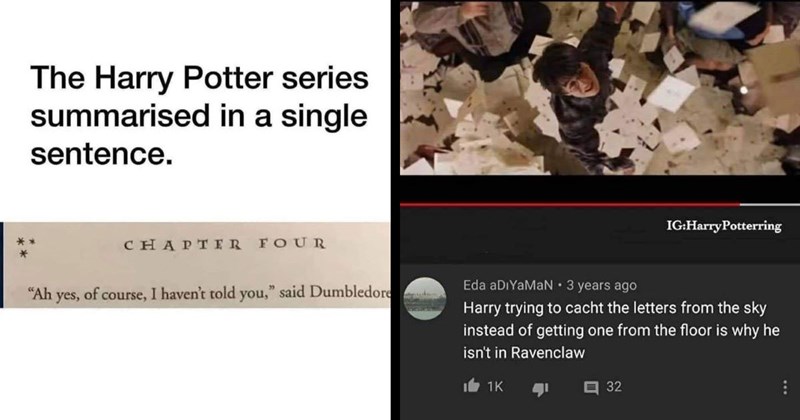 30 of the Funniest Harry Potter Memes of the Week (March 13, 2024)