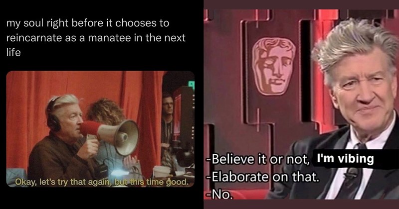 An Esoteric Collection of David Lynch Memes for the Absurdity Obsessed