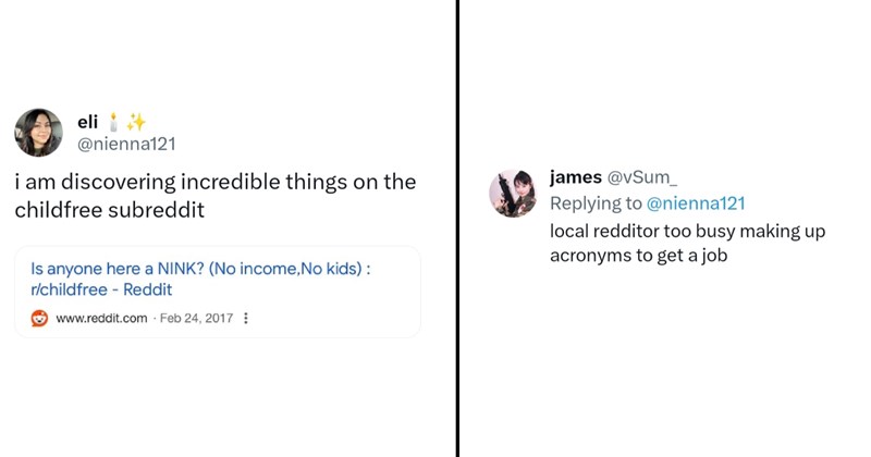 ‘It’s called NEET’: Childfree Redditor gets roasted for identifying as a ‘No income, no kids’ NINK