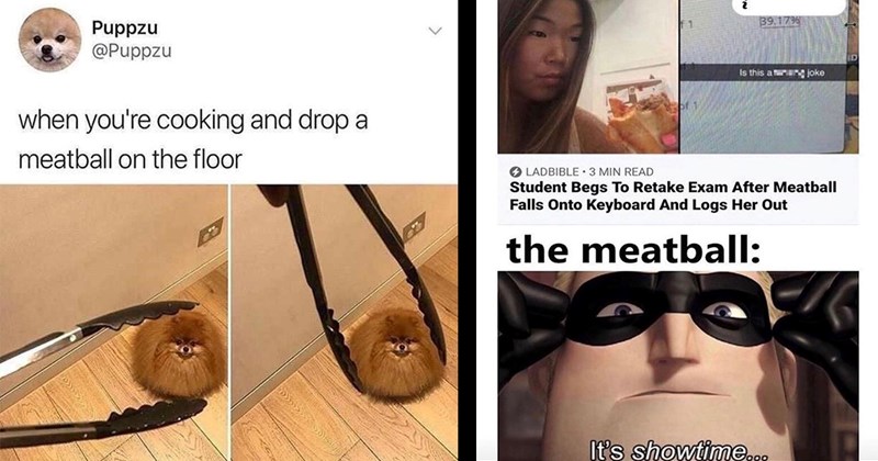 23 Spicy Meatball Memes for National Meatball Day (March 9, 2024)