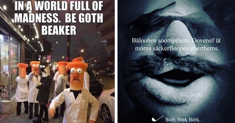 20+ Memes That Meme The Muppets on The Muppet Show Tonight