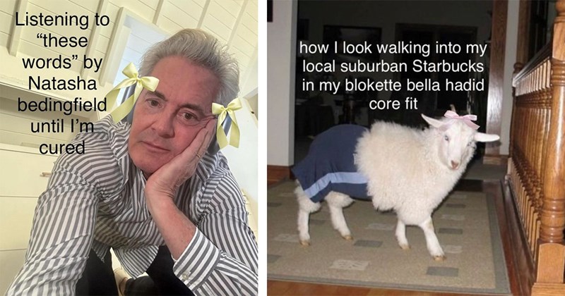 27 Coquette Memes That Tie a Pink Bow Around Everything