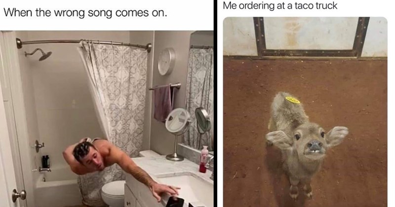 31 Memes That Are All Dolled Up