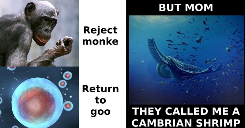 37 Prehistoric Memes That Predate The Common Era